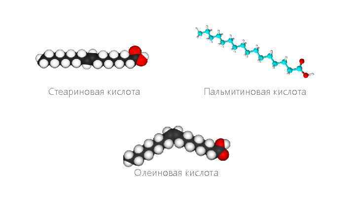 Олеиновая кислота пальмитиновая кислота