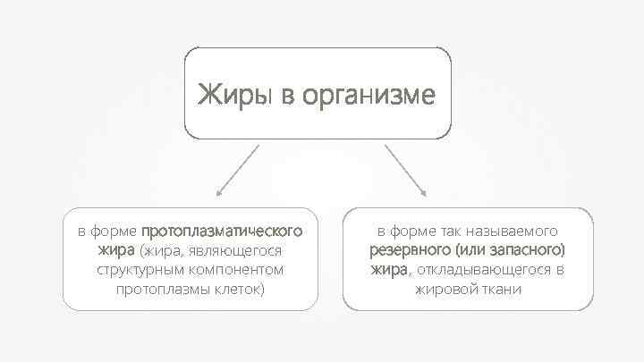 Жиры в организме в форме протоплазматического жира (жира, являющегося структурным компонентом протоплазмы клеток) в