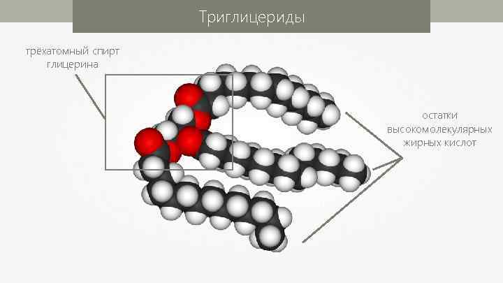 Триглицериды трёхатомный спирт глицерина остатки высокомолекулярных жирных кислот 