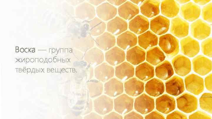 Воска — группа жироподобных твёрдых веществ. 
