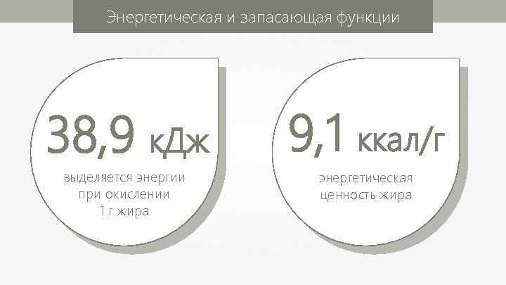 Энергетическая и запасающая функции 38, 9 к. Дж 9, 1 ккал/г выделяется энергии при