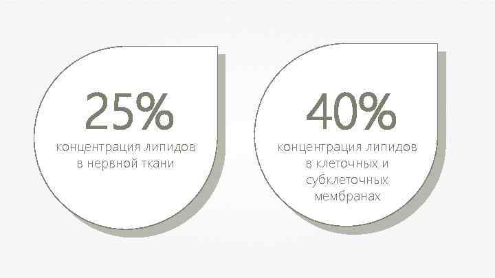 25% концентрация липидов в нервной ткани 40% концентрация липидов в клеточных и субклеточных мембранах