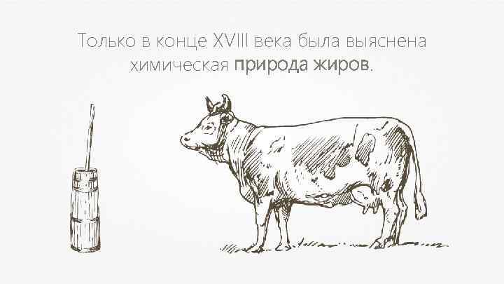 Только в конце XVIII века была выяснена химическая природа жиров. 
