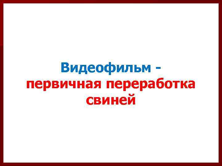 Видеофильм первичная переработка свиней 