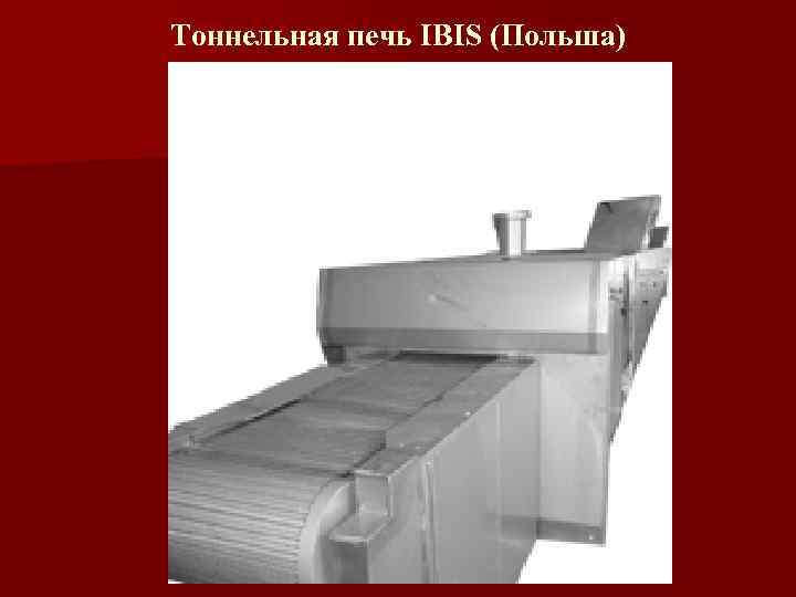 Тоннельная печь IBIS (Польша) 
