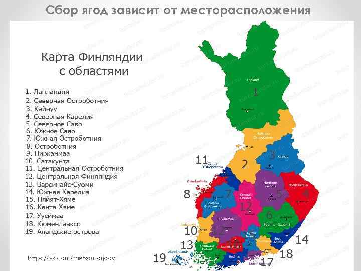 Сбор ягод зависит от месторасположения https: //vk. com/metsamarjaoy 