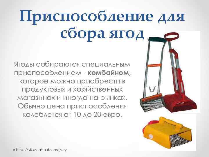 Приспособление для сбора ягод Ягоды собираются специальным приспособлением - комбайном, которое можно приобрести в