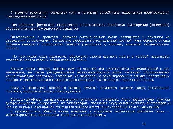 С момента разрастания сосудистой сети и появления остеобластов надхрящница перестраивается, превращаясь в надкостницу. Под