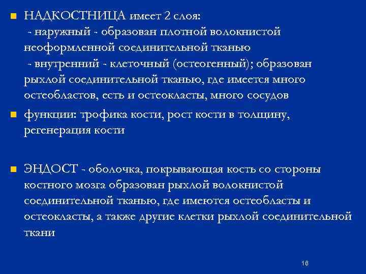n n n НАДКОСТНИЦА имеет 2 слоя: - наружный - образован плотной волокнистой неоформленной