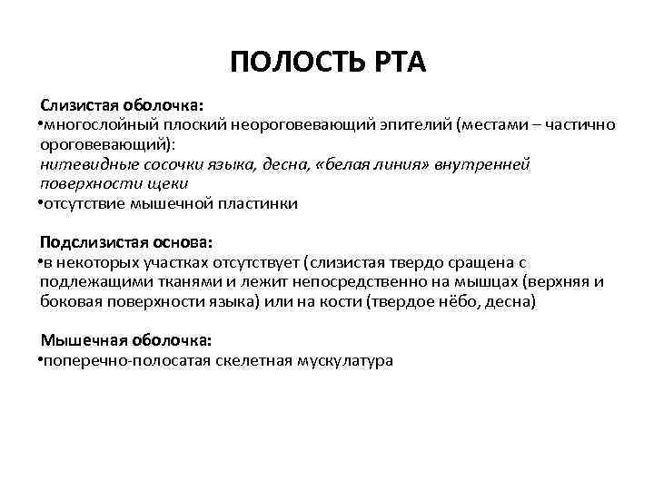 ПОЛОСТЬ РТА Слизистая оболочка: • многослойный плоский неороговевающий эпителий (местами – частично ороговевающий): нитевидные