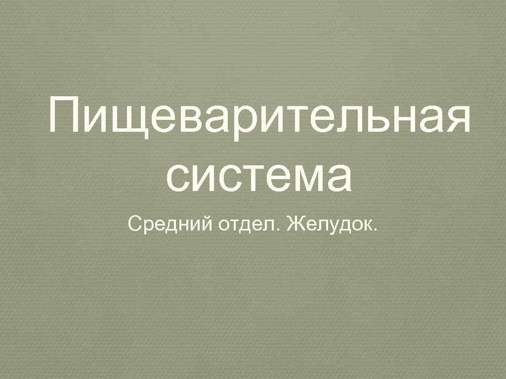 Пищеварительная система Средний отдел. Желудок. 