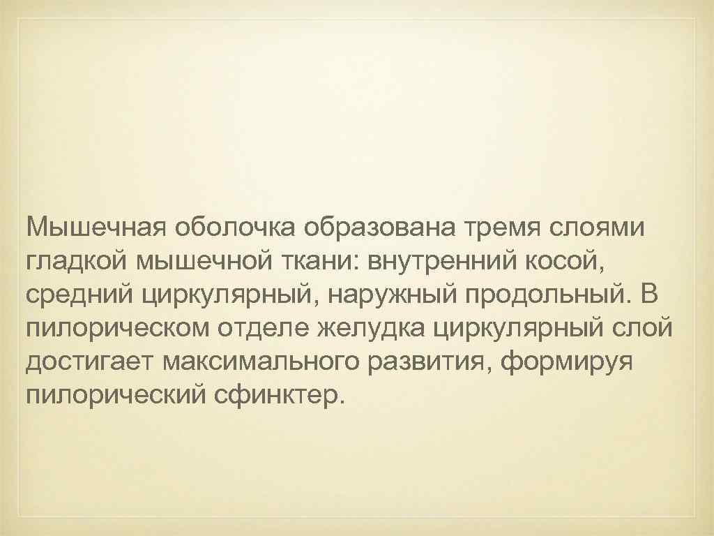Мышечная оболочка образована тремя слоями гладкой мышечной ткани: внутренний косой, средний циркулярный, наружный продольный.