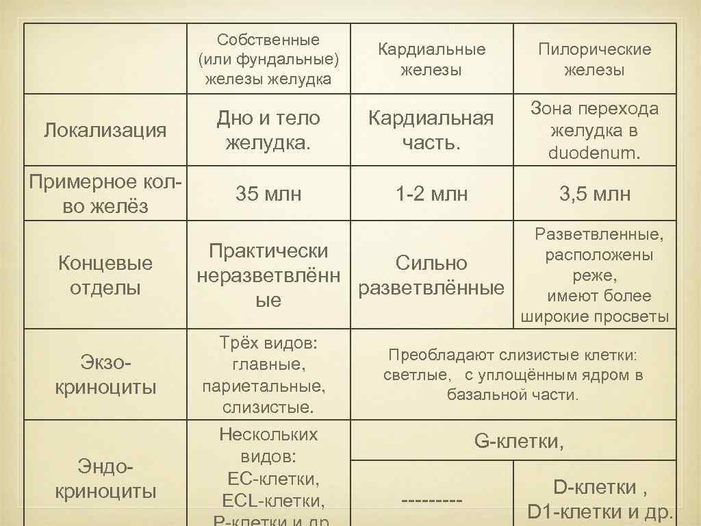 Таблица желудок. Собственные железы желудка типы клеток. Пилорические и кардиальные железы желудка. Железы желудка таблица. Отделы желудка таблица.