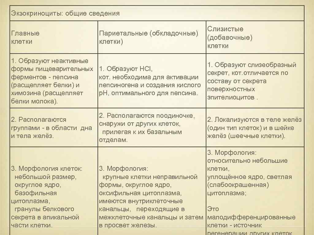 Экзокриноциты: общие сведения Слизистые (добавочные) клетки Главные клетки Париетальные (обкладочные) клетки) 1. Образуют неактивные
