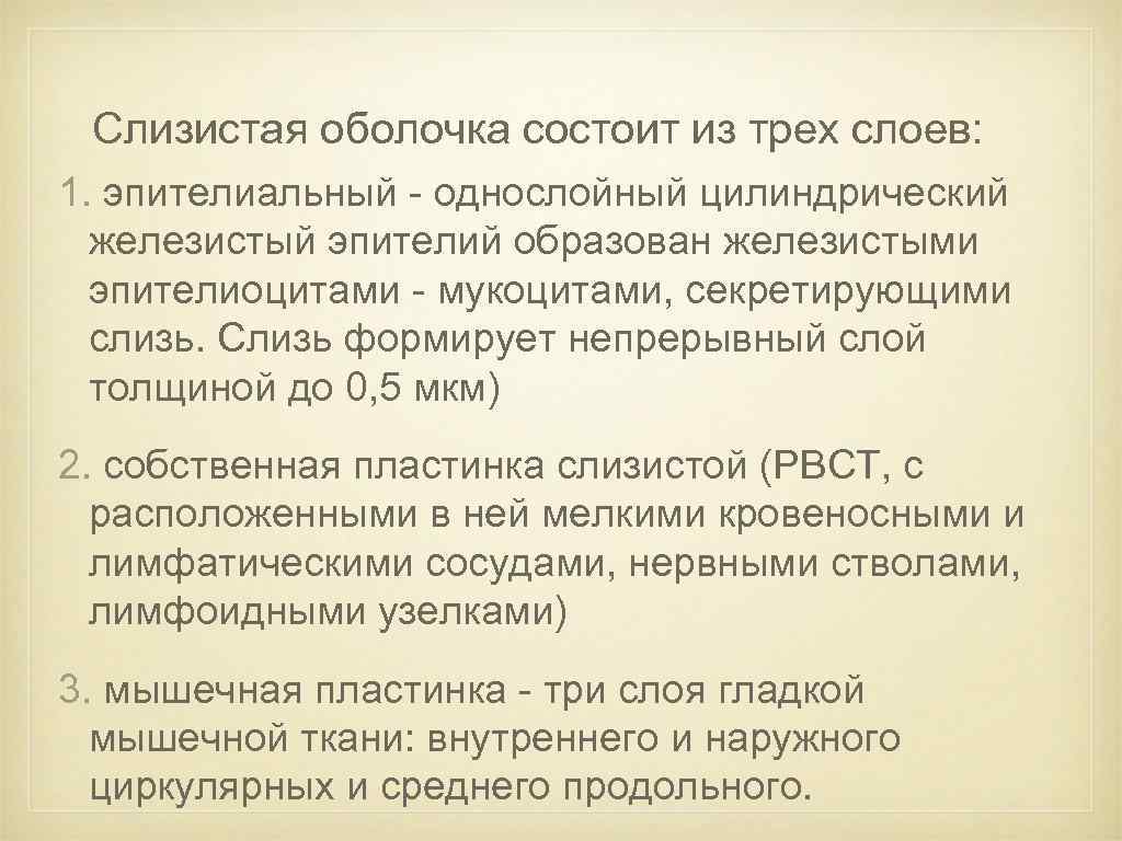 Слизистая оболочка состоит из трех слоев: 1. эпителиальный - однослойный цилиндрический железистый эпителий образован