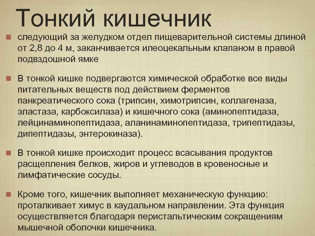 Тонкий кишечник выполняемые функции