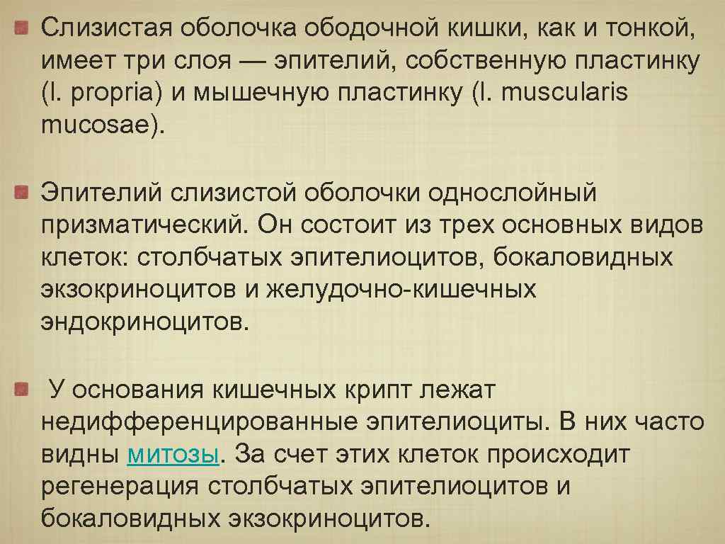 Слизистая оболочка ободочной кишки, как и тонкой, имеет три слоя — эпителий, собственную пластинку