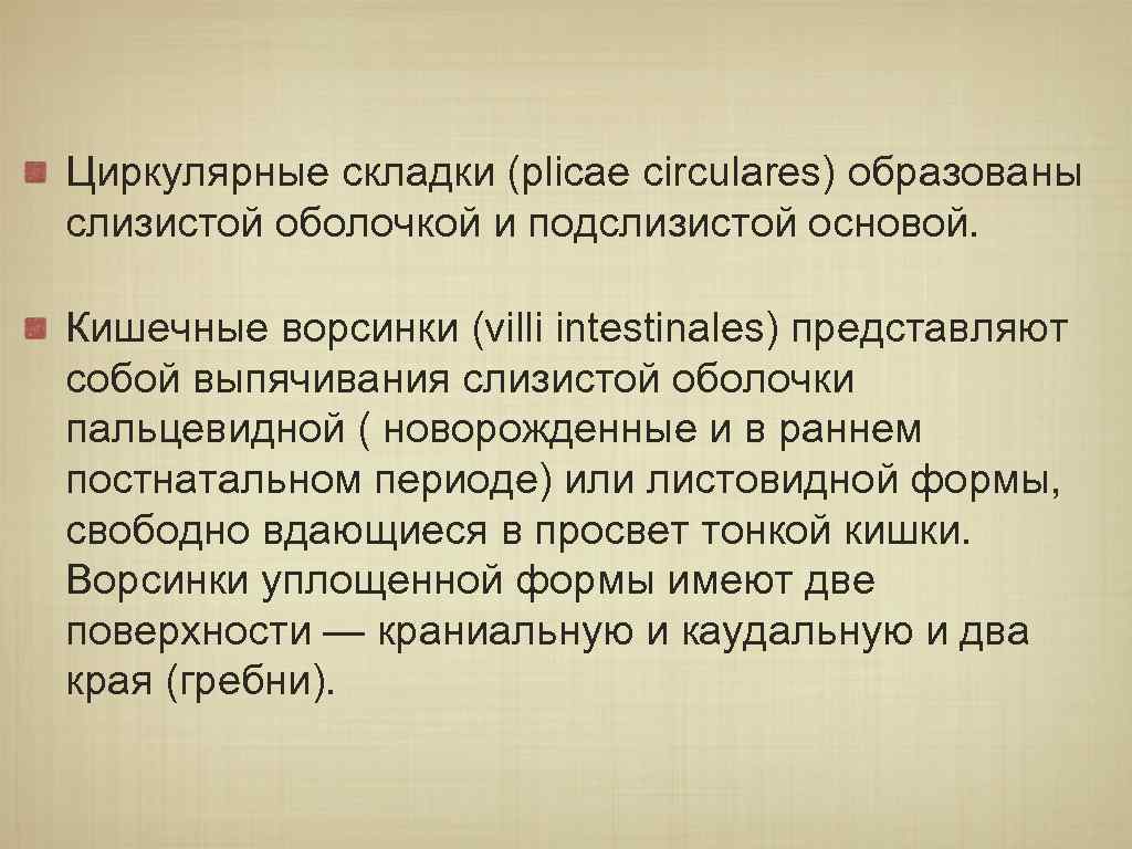 Циркулярные складки (plicae circulares) образованы слизистой оболочкой и подслизистой основой. Кишечные ворсинки (villi intestinales)