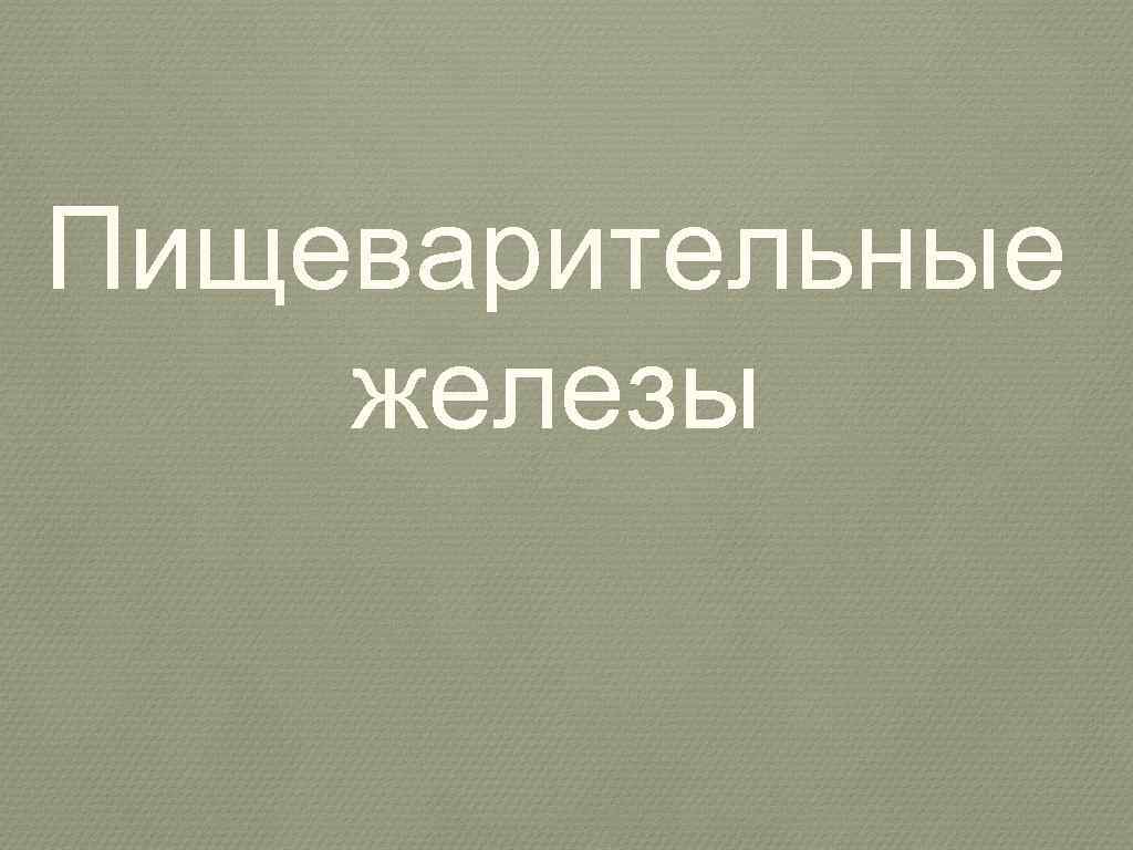 Пищеварительные железы 