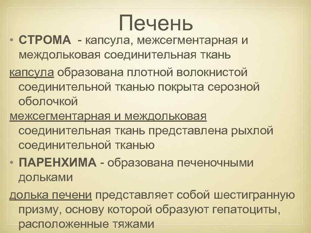 Тилакоиды гран хлоропласта. Строма тимуса. Функции стромы в хлоропласте. Строение стромы роговицы. Функции стромы.