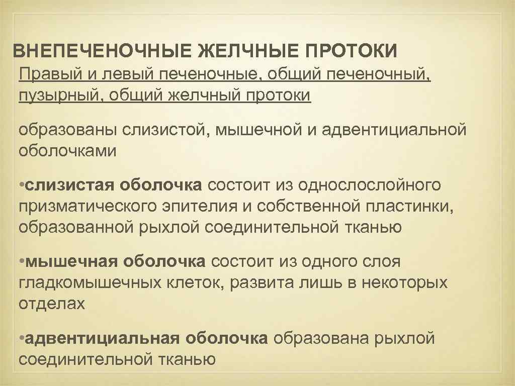ВНЕПЕЧЕНОЧНЫЕ ЖЕЛЧНЫЕ ПРОТОКИ Правый и левый печеночные, общий печеночный, пузырный, общий желчный протоки образованы