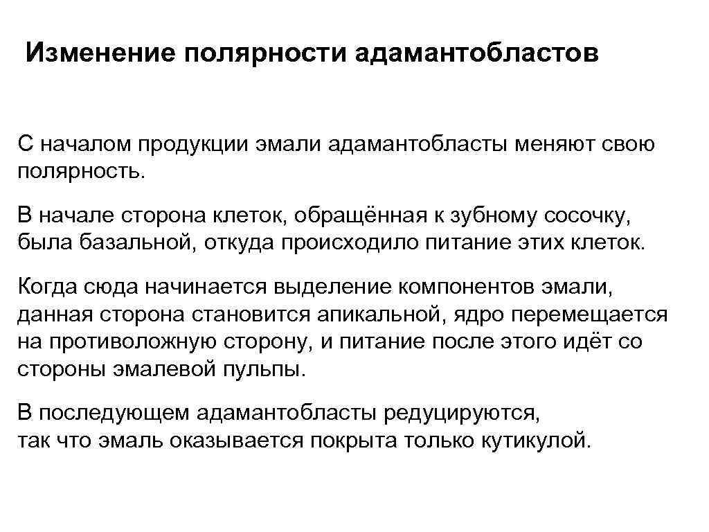 Изменение полярности адамантобластов С началом продукции эмали адамантобласты меняют свою полярность. В начале сторона
