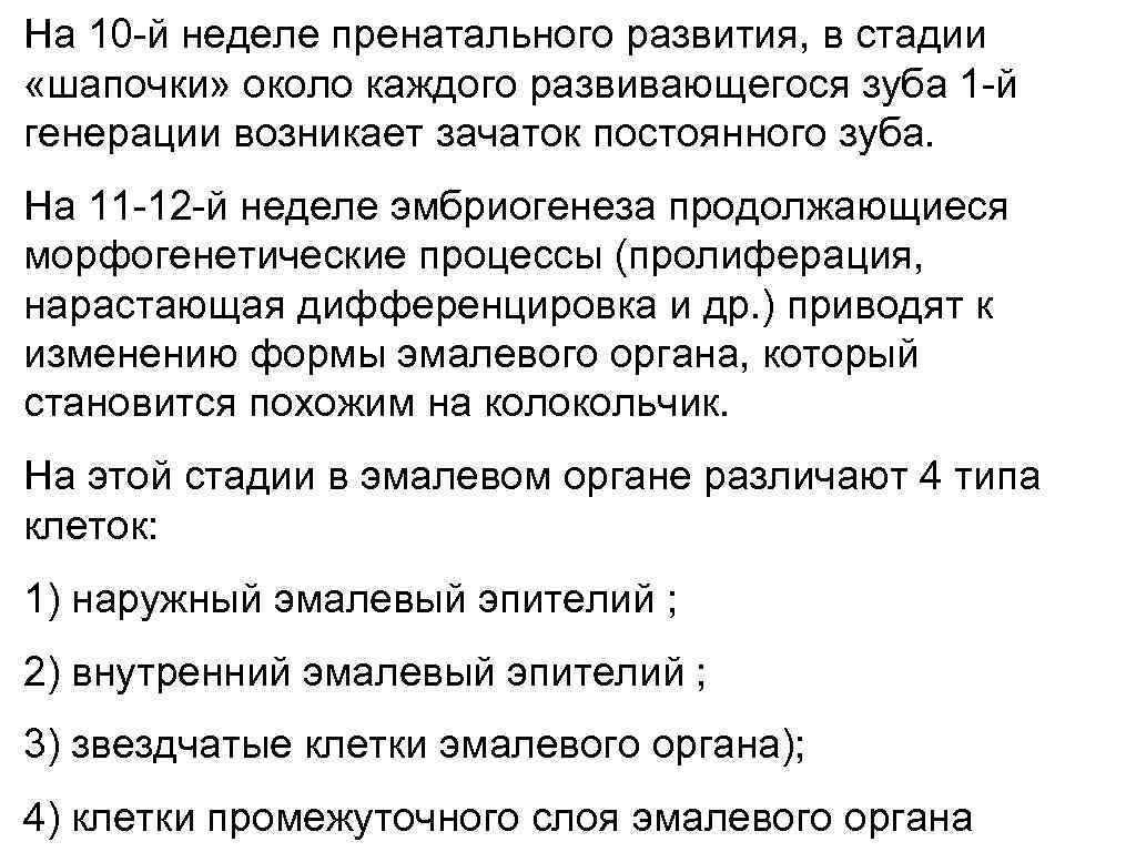 На 10 -й неделе пренатального развития, в стадии «шапочки» около каждого развивающегося зуба 1