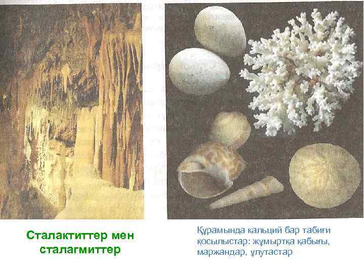 Сталактиттер мен сталагмиттер Құрамында кальций бар табиғи қосылыстар: жұмыртқа қабығы, маржандар, ұлутастар 