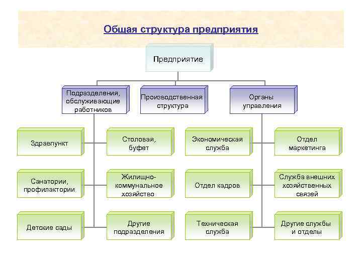 Общая структура предприятия Предприятие Подразделения, обслуживающие работников Производственная структура Здравпункт Столовая, буфет Санатории, профилактории