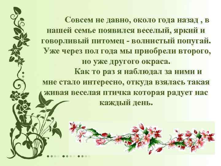 Совсем не давно, около года назад , в нашей семье появился веселый, яркий и