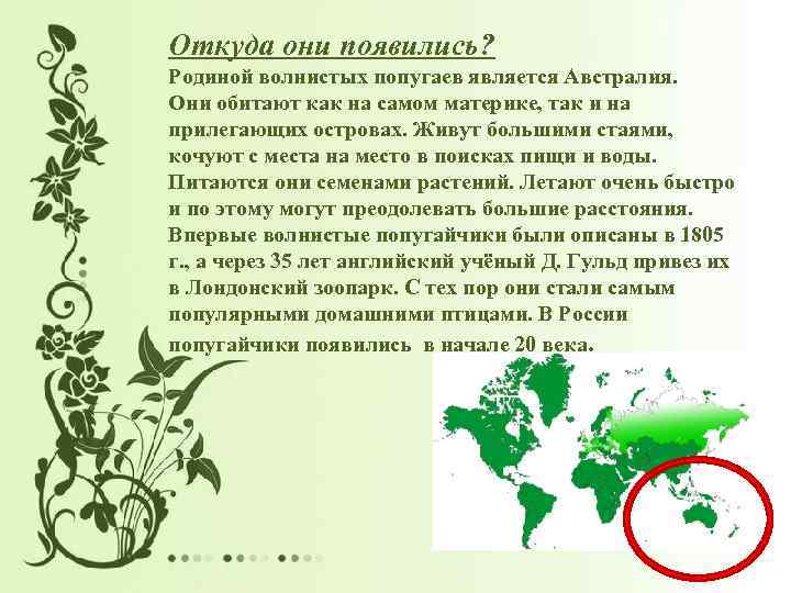 Откуда они появились? Родиной волнистых попугаев является Австралия. Они обитают как на самом материке,