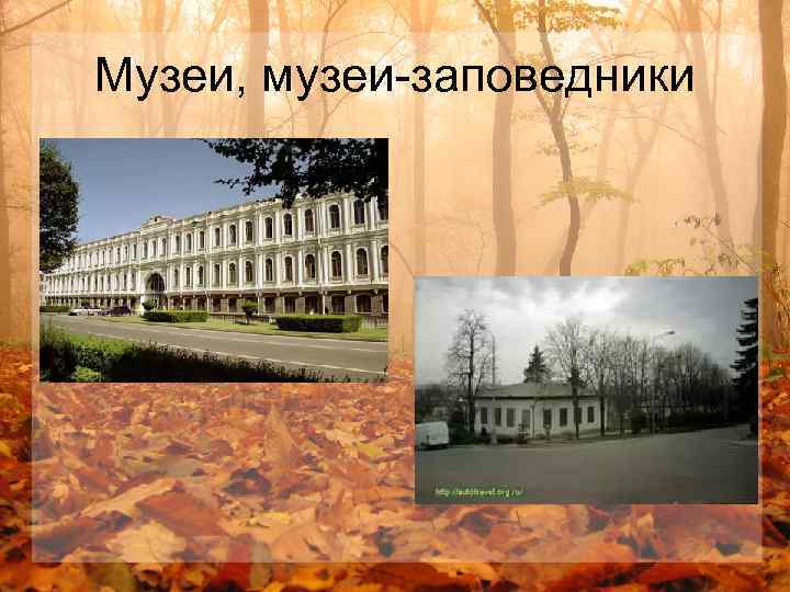 Музеи, музеи-заповедники 