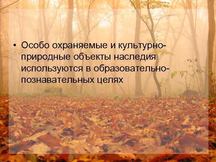  • Особо охраняемые и культурноприродные объекты наследия используются в образовательнопознавательных целях 