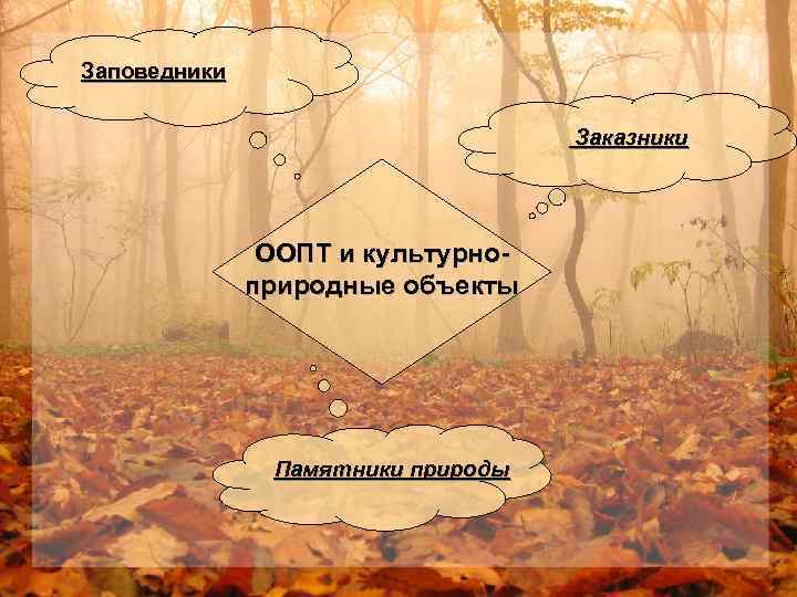 Заповедники Заказники ООПТ и культурноприродные объекты Памятники природы 