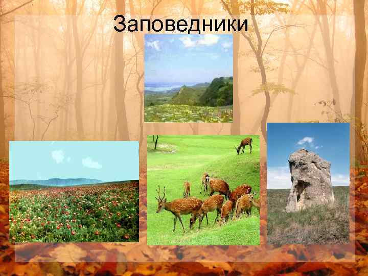 Заповедники 