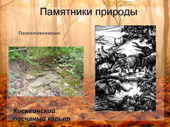 Памятники природы Палеонтологические Косякинский песчаный карьер 