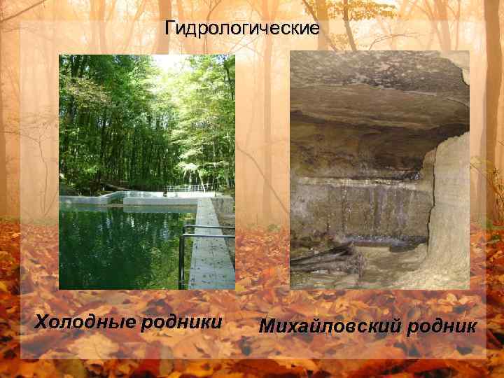 Гидрологические Холодные родники Михайловский родник 
