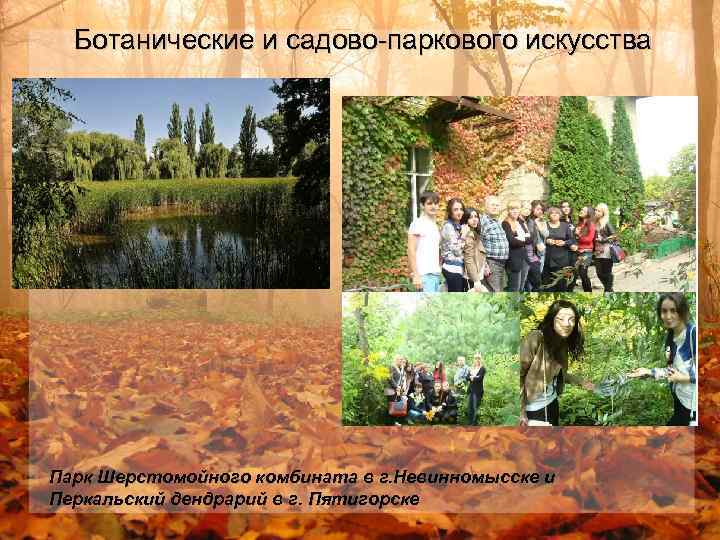 Ботанические и садово-паркового искусства Парк Шерстомойного комбината в г. Невинномысске и Перкальский дендрарий в