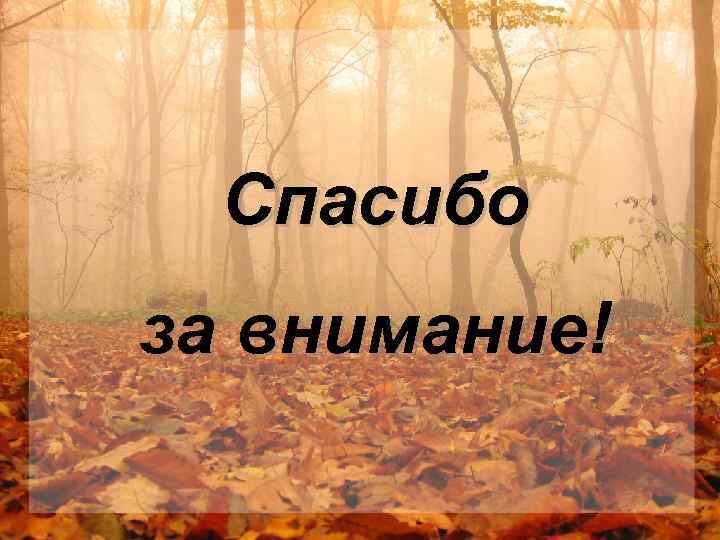 Спасибо за внимание! 