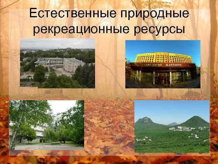Естественные природные рекреационные ресурсы 