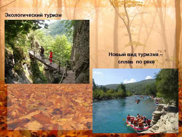 Экологический туризм Новый вид туризма – сплав по реке 