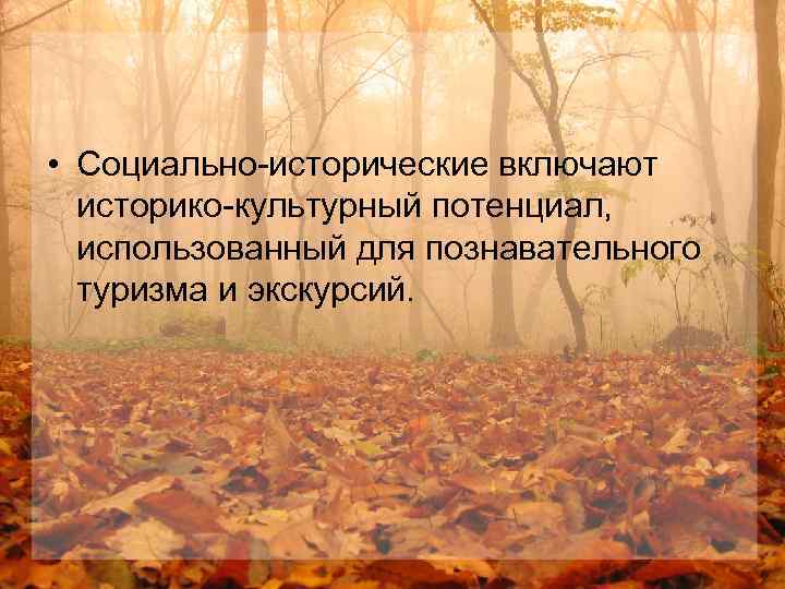  • Социально-исторические включают историко-культурный потенциал, использованный для познавательного туризма и экскурсий. 