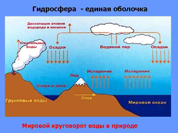 Гидросфера - единая оболочка Мировой круговорот воды в природе 