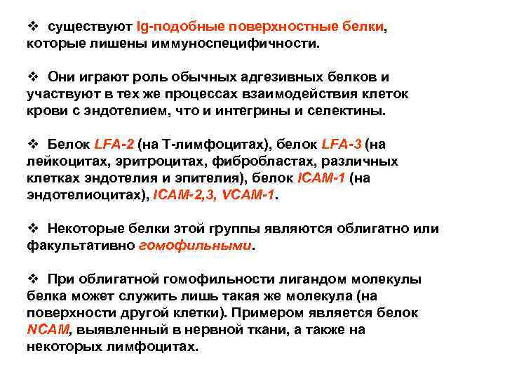 v существуют Ig-подобные поверхностные белки, которые лишены иммуноспецифичности. v Они играют роль обычных адгезивных