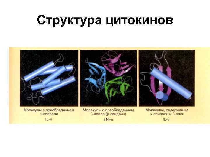 Структура цитокинов 