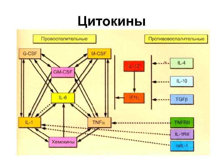 Цитокины 