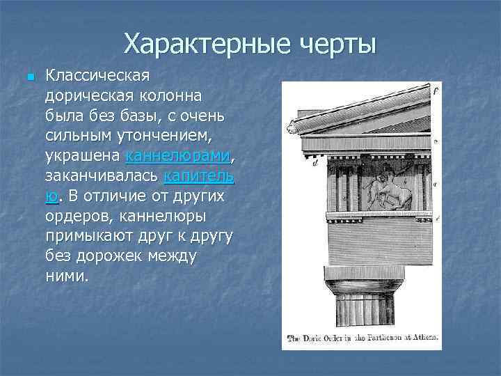 Характерные черты n Классическая дорическая колонна была без базы, с очень сильным утончением, украшена