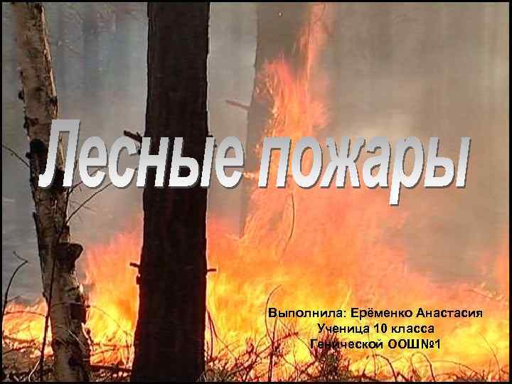 Выполнила: Ерёменко Анастасия Ученица 10 класса Генической ООШ№ 1 
