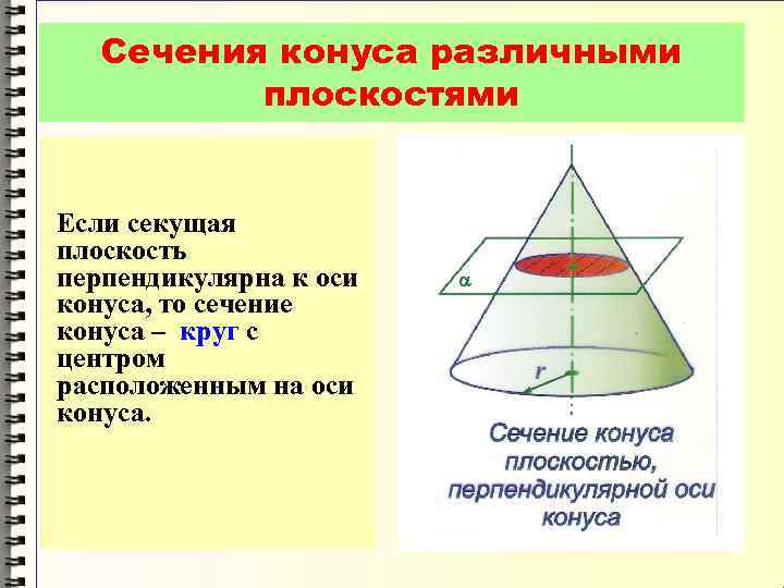 Высота сечения конуса