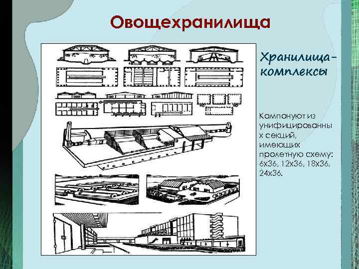 Овощехранилища Хранилищакомплексы Компонуют из унифицированны х секций, имеющих пролетную схему: 6 х36, 12 х36,